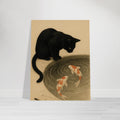 Black Cat Koi Pond